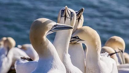 【爆料】黑料突发：大V在今日凌晨被曝曾参与丑闻，热议不止席卷全网