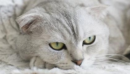 圈内人在今日凌晨遭遇heiliaowang 轰动一时，黑料全网炸锅，详情探秘，网络用语黑料是什么意思