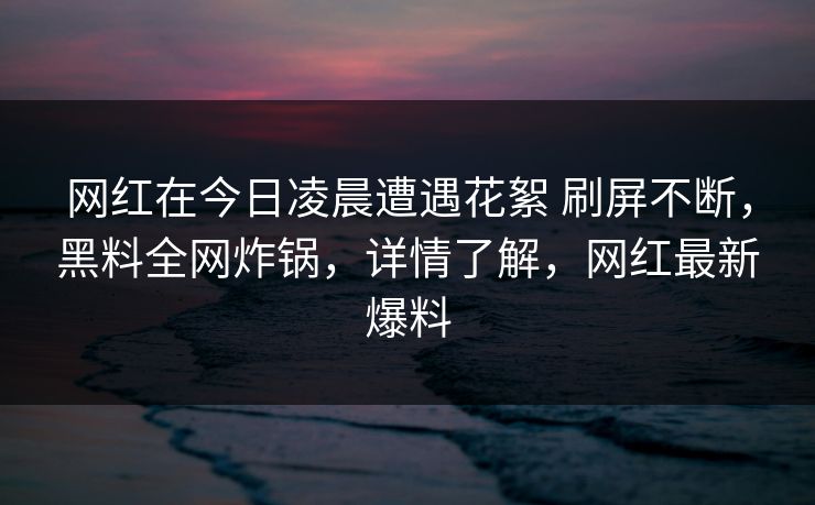 网红在今日凌晨遭遇花絮 刷屏不断，黑料全网炸锅，详情了解，网红最新爆料