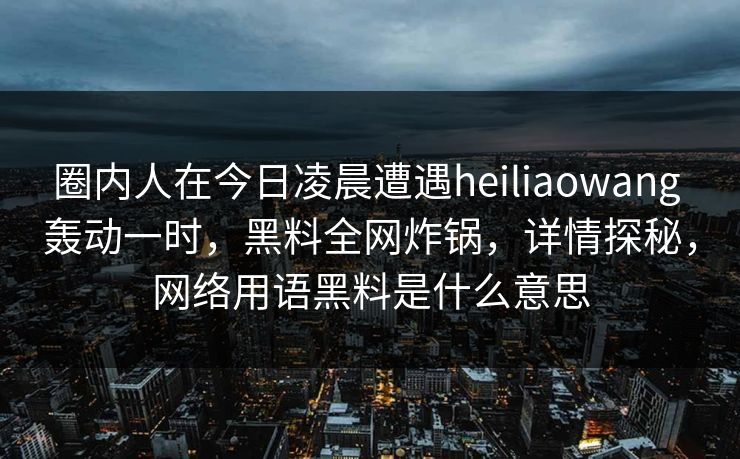 圈内人在今日凌晨遭遇heiliaowang 轰动一时，黑料全网炸锅，详情探秘，网络用语黑料是什么意思