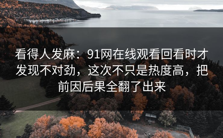 看得人发麻:91网在线观看回看时才发现不对劲,这次不只是热度高,把前因后果全翻了出来